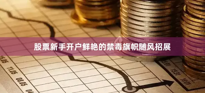 股票新手开户鲜艳的禁毒旗帜随风招展