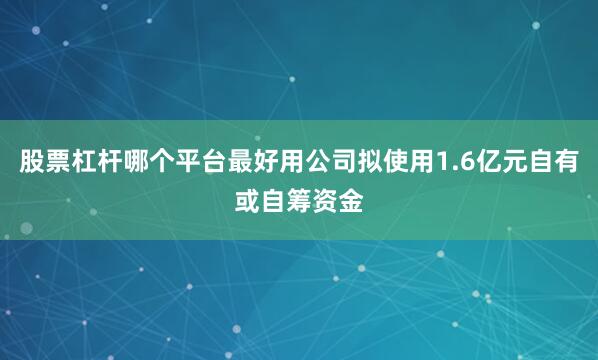 股票杠杆哪个平台最好用公司拟使用1.6亿元自有或自筹资金