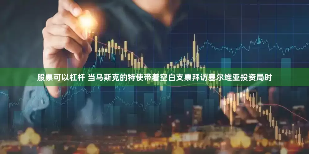 股票可以杠杆 当马斯克的特使带着空白支票拜访塞尔维亚投资局时