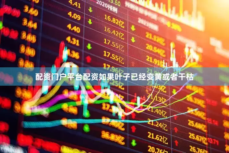 配资门户平台配资如果叶子已经变黄或者干枯