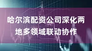 哈尔滨配资公司深化两地多领域联动协作